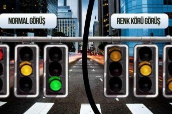 Renk Körlüğü